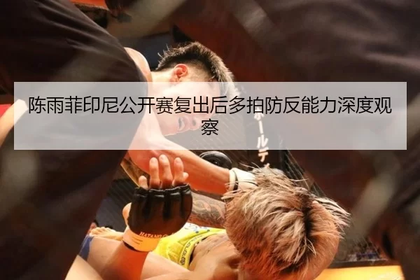 陈雨菲印尼公开赛复出后多拍防反能力深度观察